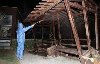 Pamukkale’de dezenfekte çalışmaları aralıksız...