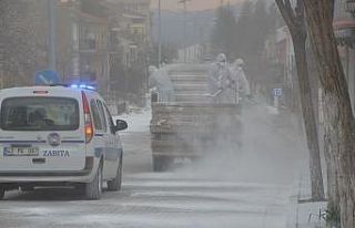 Pazaryeri ve çöp konteynerleri dezenfekte edildi