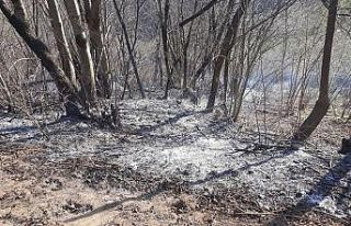 Perşembe’de örtü yangınları