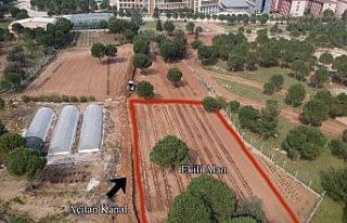 Rektör Bağ’dan BİYOM arazisinde yapılan alt...