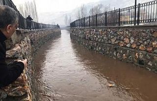 Sağanak yağış taşkına neden oldu