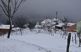 Sakarya Dikmen yaylasında kar kalınlığı 25 santimetreye...