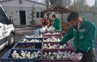 Salgın nedeniyle evde kalan vatandaşların balkonu...