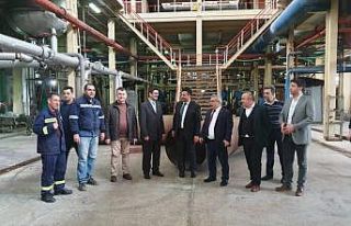 Samsun’a ’şeker’ dopingi