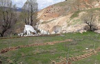 Sason’da kapama ceviz bahçesi almayı hak kazanan...