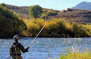 Sazangiller, Kadife, Şiraz ve Yayın balığı avlamak...