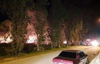 Serik’te sazlık alan yangını kısmen kontrol...