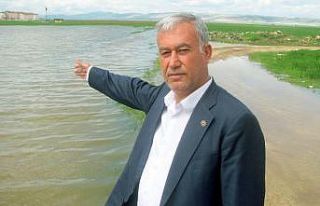 Şiddetli yağış tarım alanlarını göle çevirdi