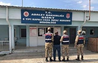 Siirt’te hakkında kesinleşmiş hapis cezası bulunan...