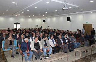 Silifke’de avokado, çiftçilerin yeni gözdesi...