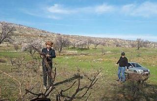 Silvan’da bağ budama dönemi başladı