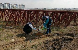 Sincan’da sokak hayvanlarına mama desteği