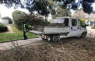 Sinop’ta çevre düzenleme çalışmaları