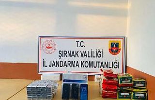 Şırnak’ta zehir tacirlerine darbe: 27 gözaltı