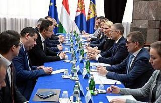 Sırp İçişleri Bakanı Stefanovic, göçmen akınına...