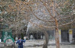 Sivas’ta dezenfekte ve ilaçlama çalışmaları...