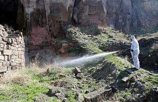 Sivrisineklere erken önlem