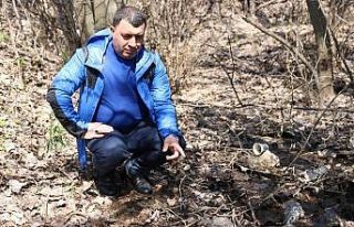 Sivrisineklerin taşıdığı virüslerden yılda...