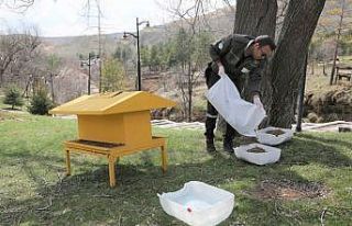 Sokak hayvanları için mesire alanlarına yem ve...