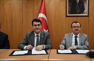 Sokak hayvanlarına 24 saat sağlık hizmeti