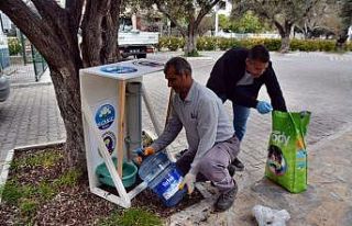 Söke Belediyesi sokak hayvanlarını unutmadı