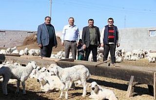 Tarım ve hayvancılık üretimi desteklemelerle 16...