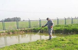 Tarsus’ta kamuya açık alanlar ve okullarda ilaçlama...