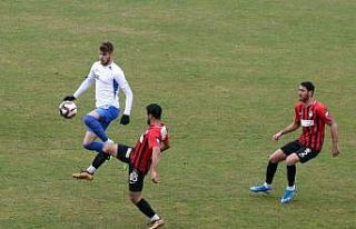 TFF 2. Lig: Vanspor: 2 - Ergene Velimeşespor: 1