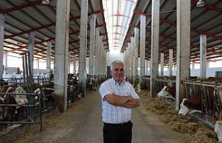 TKDK desteğiyle AB standartlarında süt üretim...