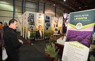 Toroslar’ın tarımsal ürünleri görücüye çıktı