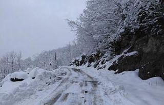 Trabzon’da kardan kapanan tüm mahalle yolları...