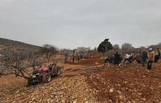 Traktör altında kalan veteriner hayatını kaybetti