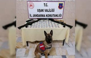 Uşak’ta 616 adet uyuşturucu hap ele geçirildi