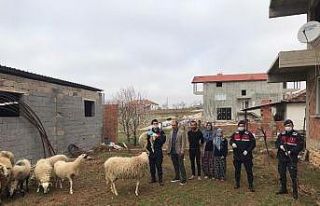 Uşak’ta jandarma 3 aylık bilançoyu açıkladı:...