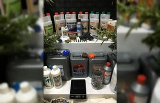Uyuşturucu yetiştirilen villaya polisten şok baskın