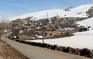 Van Büyükşehir Belediyesi deprem bölgesindeki...