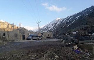 Van’da 1 mahalle ile 2 mezra karantina altın alındı