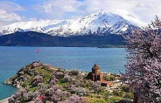 Van’da ‘Badem Çiçeği Festivali’ talebi