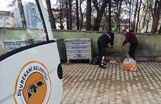 Vatandaşlar, evden çıkamayınca sokak hayvanlarını...