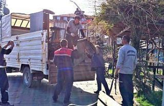 Vatandaşlar uyarıya rağmen sokağa çıktı, belediye...