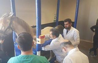 Veteriner fakültesi öğrencileri hipodromda pratik...