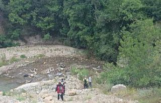 Yabanî hayvanların parçaladığı yaşlı adam...