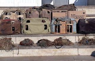 Yasadışı avda kullanılan keklikler doğaya bırakıldı