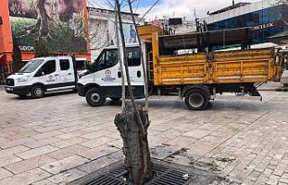 Yaşlılar Korona virüsüne aldırış etmeyince...