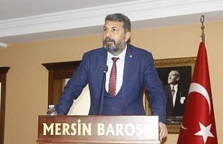 Yeşilboğaz: "Ağaç katliamını yapanın tek...