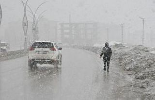 Yüksekova’da yoğun kar yağışı