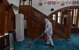 Yüzlerce noktada ilaçlama yapıldı