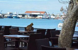 Zabıta, kapatılacak işyerlerini denetledi