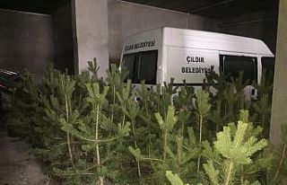 20 bin fidan Çıldır’a nefes olacak