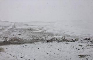 2225 rakımlı Kurubaş Geçidi’nde kar yağışı